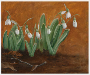 A realistic close-up landscape oil painting of snowdrops